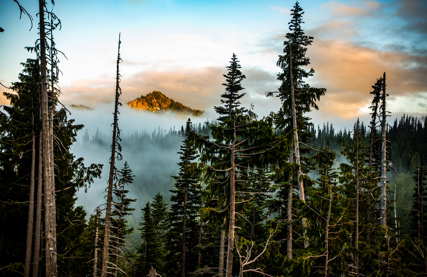 Hurricane Ridge Sunset