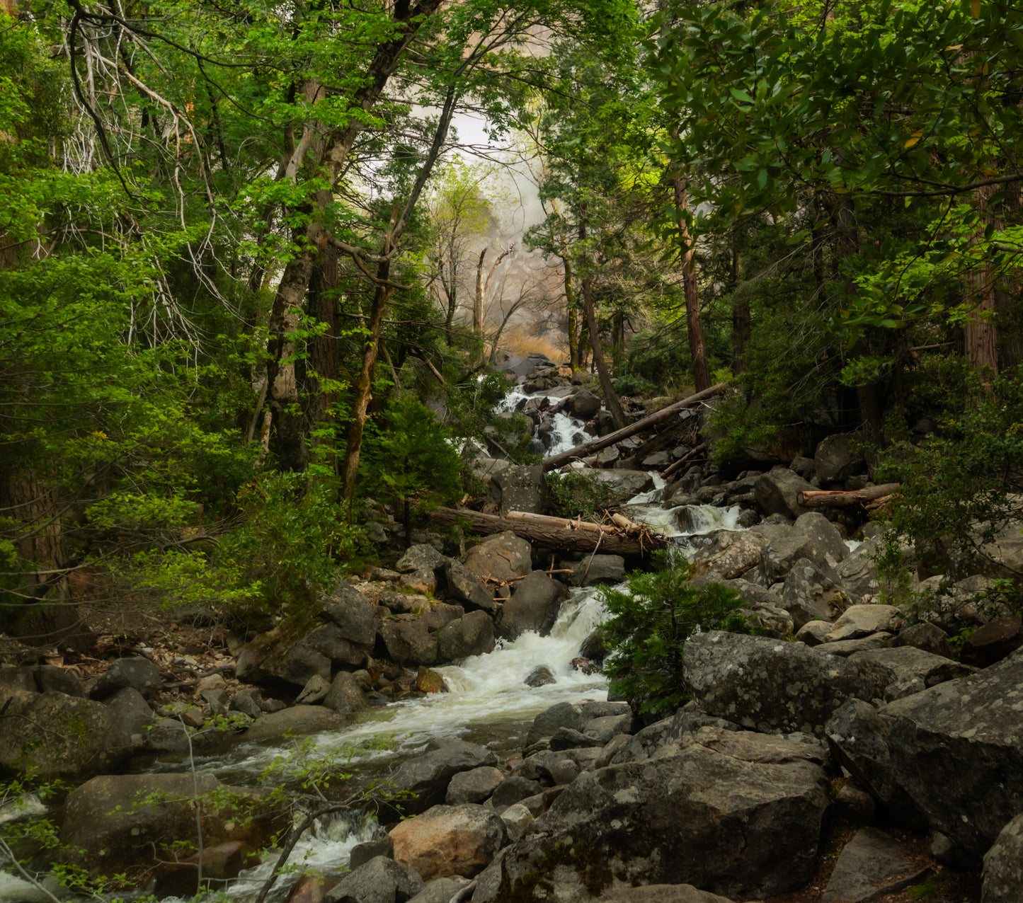 Record Rain in Yosemite National Park