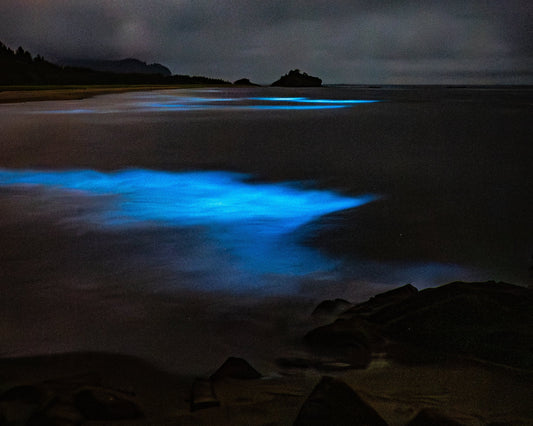 Night Under the Stars Workshop