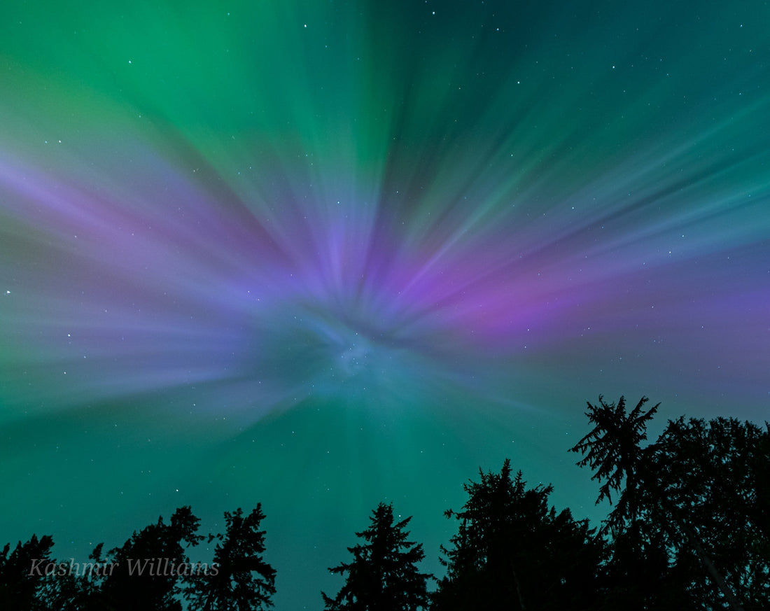 Why Citizen Science?