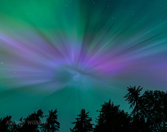 Why Citizen Science?