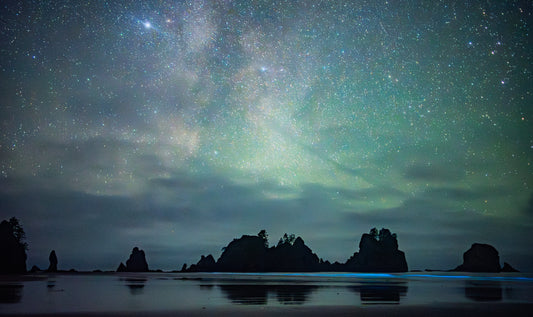 Shi Shi Bioluminescence